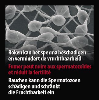 Belgium 2007 Health Effects sex -bio image, damage sperm and decrease fertility
